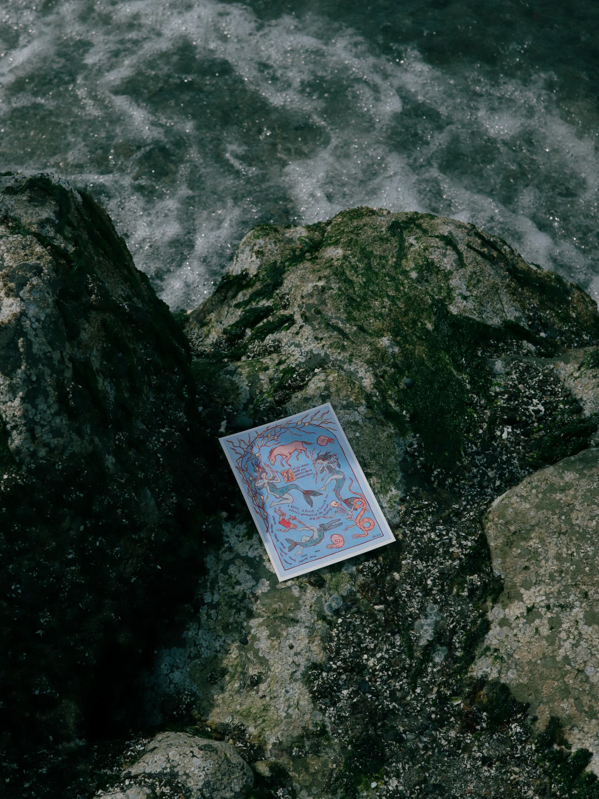 Sea-themed Quest print with mermaids placed on mossy rocks beside ocean water