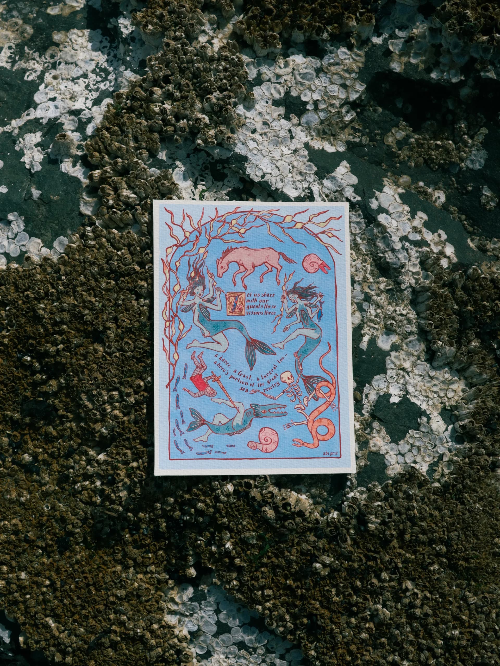 The Great Sea Revelry print resting on barnacle-covered rock in bright daylight